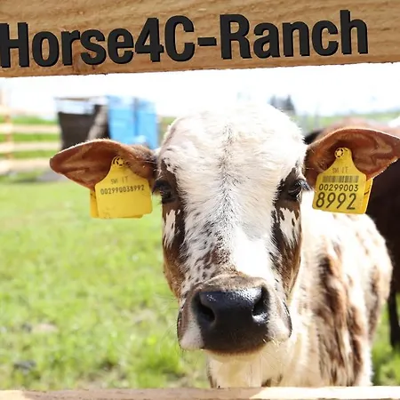 בית הארחה 4c Horse Ranch Hainichen